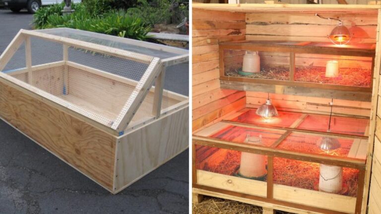 25 DIY Chick Brooder Ideas